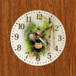 Premium Birds Acrylic Wall Clock front design